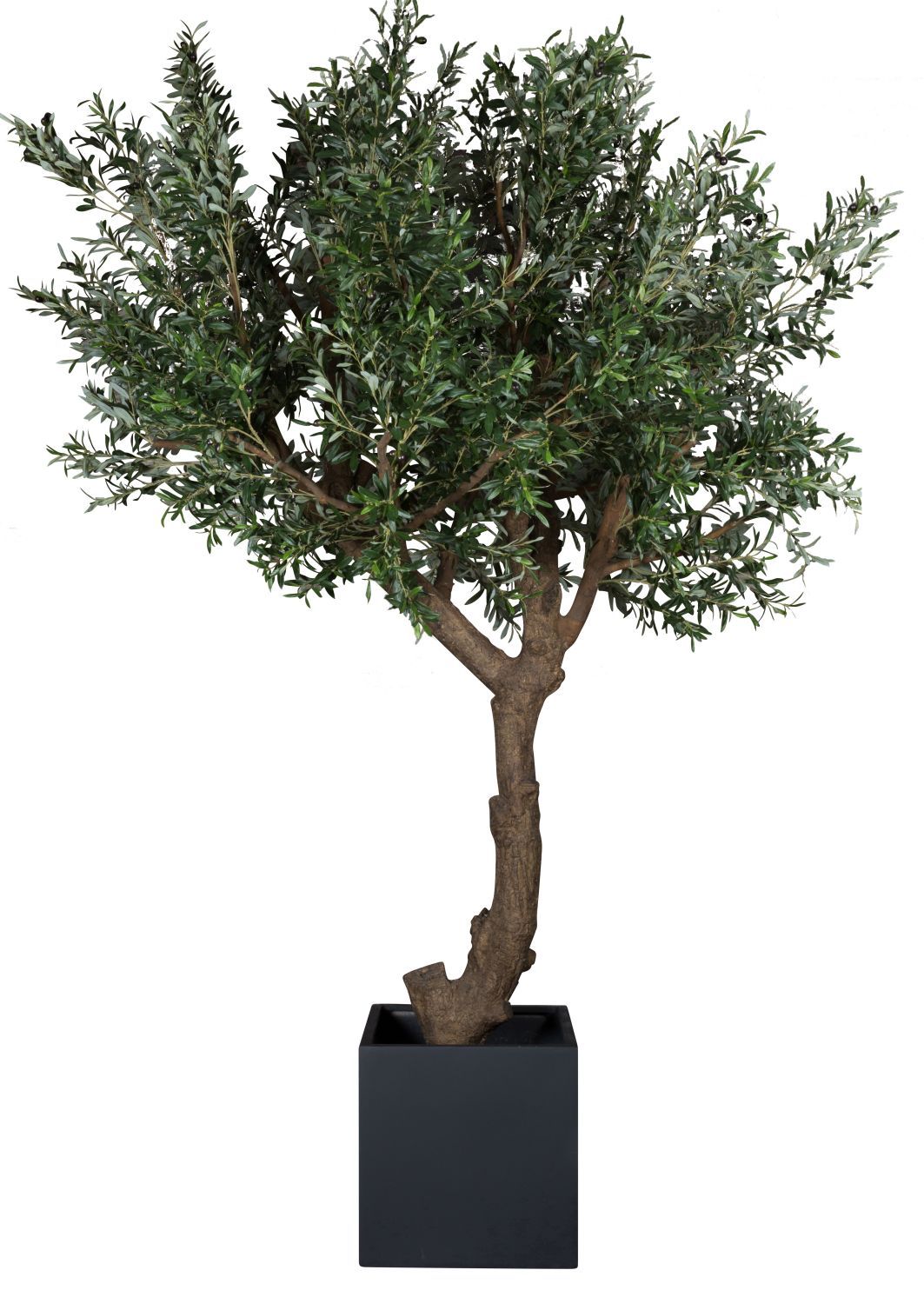 Taiga Olive Tree 270 (Olive Tree) Artificial plant Tanaman    